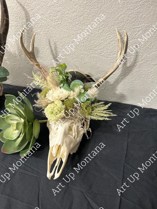 Deer Skull