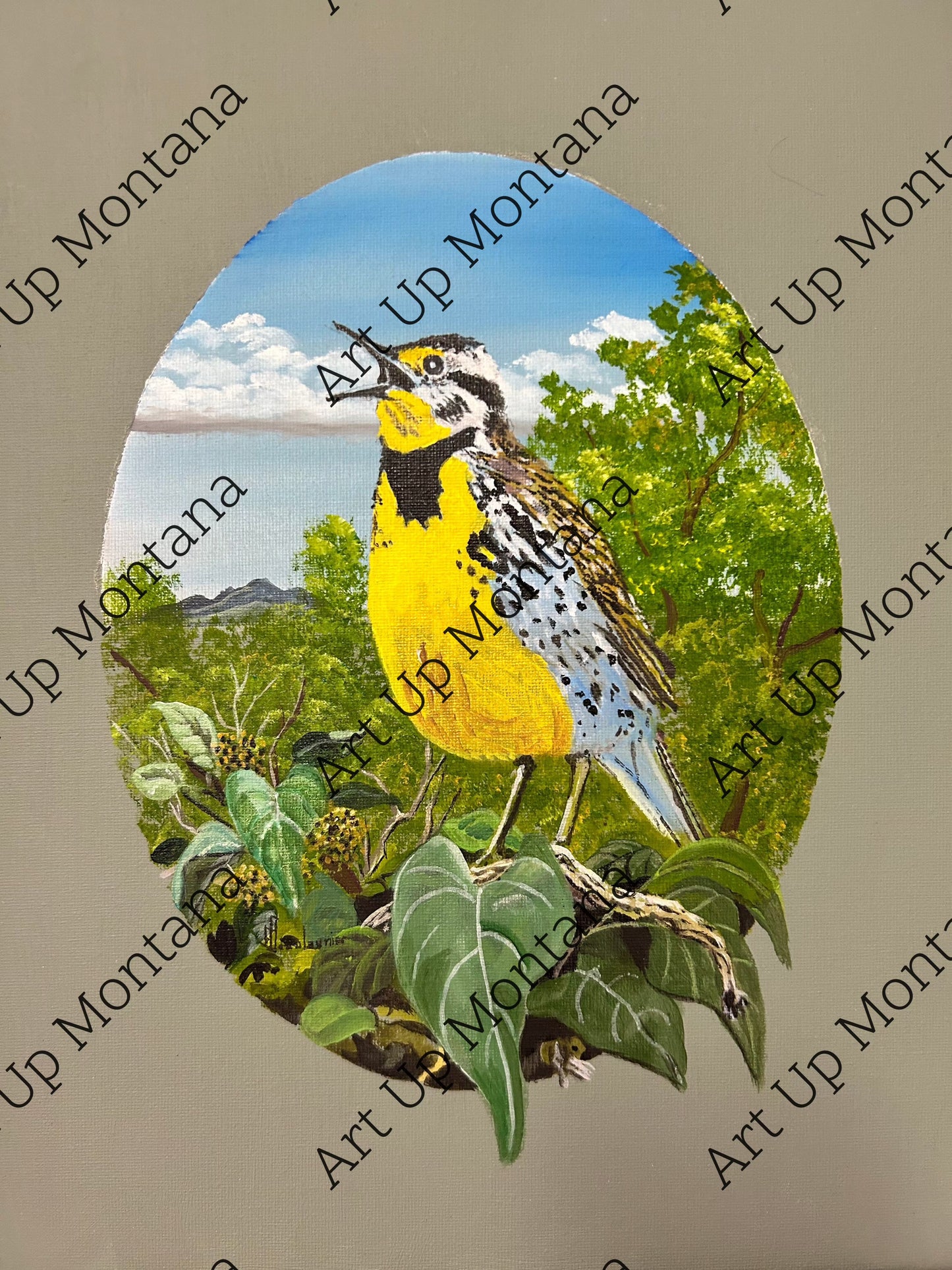 Oval Meadowlark